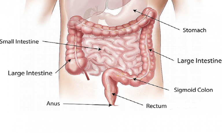 6 ways to rebuild tolerance levels