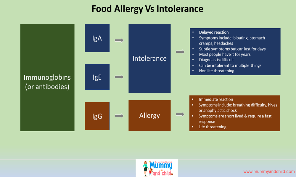 The difference between food allergies and food intolerances
