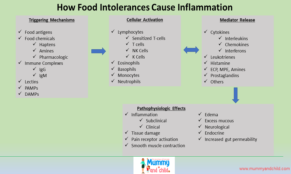 How food allergies or food sensitivities lead to chronic inflammation and tissue damage 