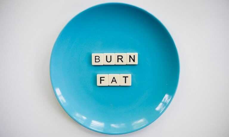 burn fat